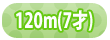���å��꡼���ʥ֥�ܥǥ�120cm/7��
