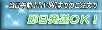 12���ޤǤΤ���ʸ��¨Ǽ�Ǥ��ޤ�